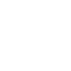 gaudi